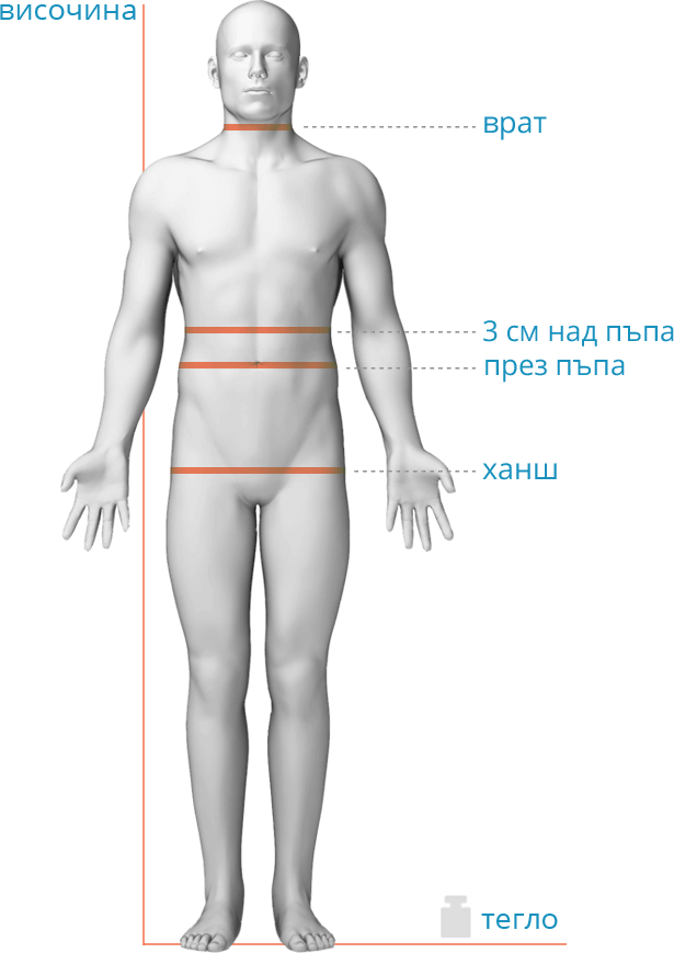body size figure